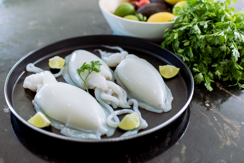 SEPIA LIMPIA IQF 200/300 HARRIS 8KG [1 Ud/Caja]