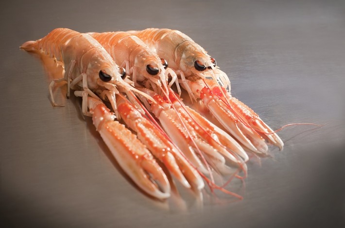 Cigala Escocia 70-100 g/pz (1) 1,250kg 4x1,5kg