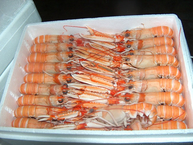 Cigala 17-25 g/pza (Grillo/40-60) 4Un x 2kg Neto [vta/unidad]