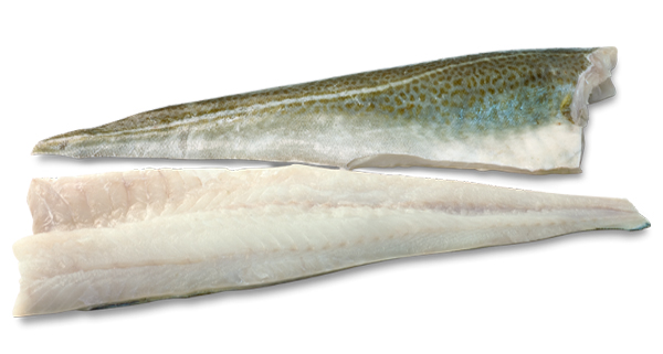 Bacalao Filete Islandia 1000+ g/pz 11kg