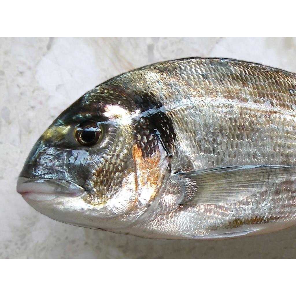 Dorada Piscifactoria Nacional 300-400 g/pz