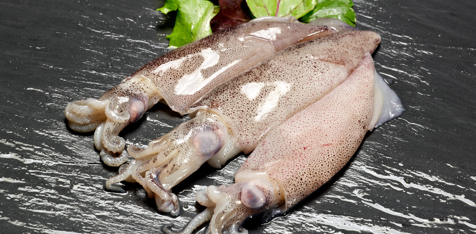 Calamar Patagonico 12-15 cm (4L) ±5kg