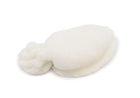 Sepia Limpia Iqf 200/300 8kg Torry Harris