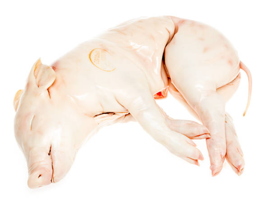 Cochinillo Cong. env. vacio 4-5Kg