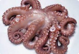 Pulpo T3 Artesanal FAO34 8 Un x 2-3kg/pieza [vta/unidad]