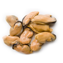 [3322408] Mejillon Carne Galicia (100-200)pz/kg 9x1kg