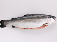 [C3226101] Trucha Eviscerada 200-300 g/pz 5kg