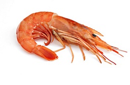 [3321201] Langostino Abordo Austral 50-100 g/pza (1) (10-20) 6Un x 2Kg [vta/unidad]