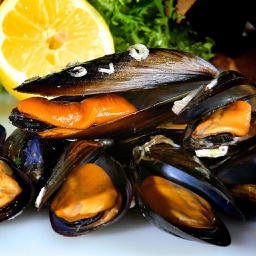 [540A] Mejillon Cocido Galicia  Jugoson 40-60 pza/kg 10X1Kg.