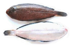 [C3241106] Lenguado Holanda 120-180 g/pz (H5) 5kg