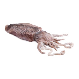 [3322227] Sepia Mongo Marruecos 3000-5000 g/pza (3)