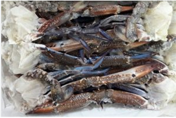 [1128] Jaiba Cluster 16/20 (Cangrejo azul mitad)