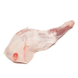 [CV03004.02] Cordero Paletilla