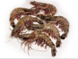 [C3310524] Langostino Black Tiger 50-65 g/pz (16-20) 10x1kg [Vta/Unidad]