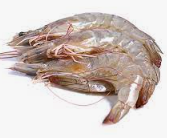 [3321276] Langostino Vannamei 20-25 g/pza (40-50) 10Un x 2Kg [vta/unidad]