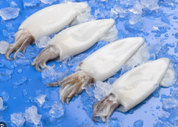 [3322153] Calamar Limpio Patagonico S/PIEL 6Un x 1kg [vta/caja]