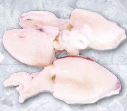 [3322213] Sepia Limpia Marruecos P (200-300)g/pz 6kg