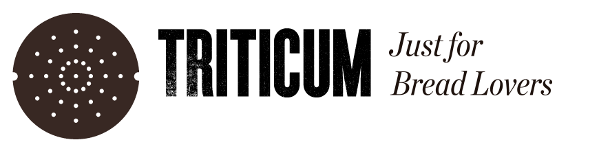 Triticum